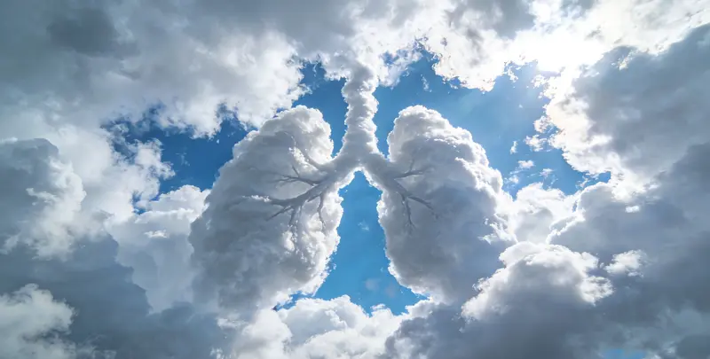 肺癌甲基化检测图4