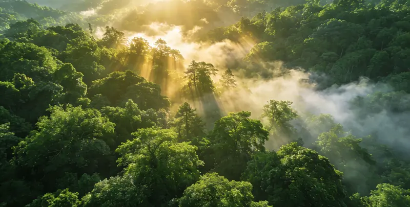 宁波肺癌靶向120基因检测（组织）图片1