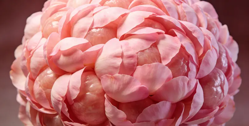 宁波BRCA1/2乳腺癌卵巢癌基因检测图片1